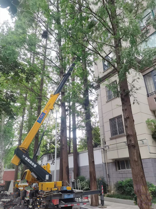 22米登高车园林修剪树枝施工现场